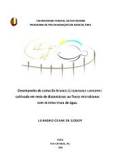 FURG - Desempenho do camarão-branco (Litopenaeus vannamei) 2008.pdf